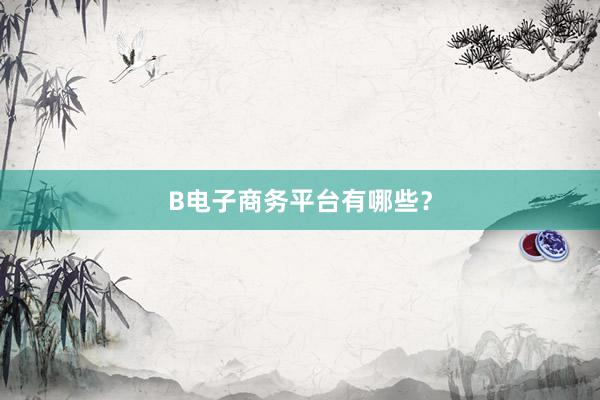 B电子商务平台有哪些？