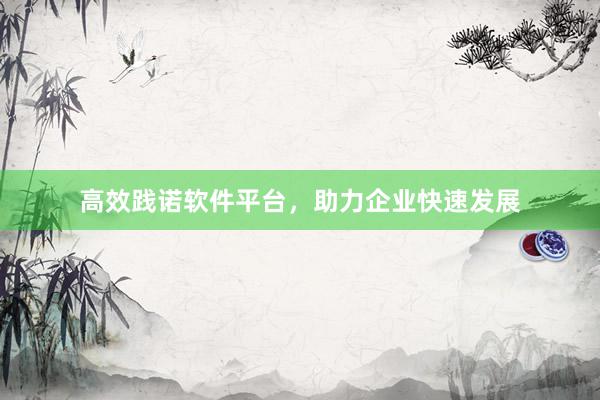高效践诺软件平台，助力企业快速发展