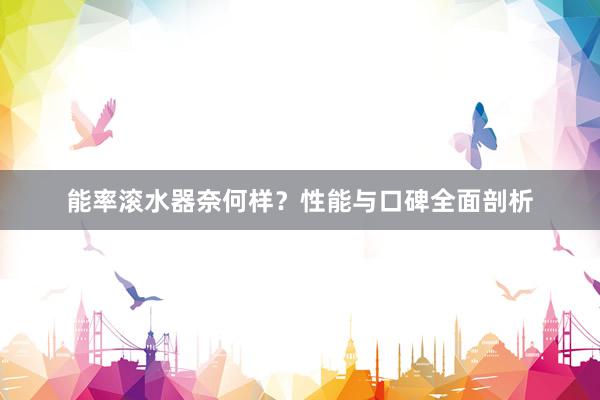 能率滚水器奈何样？性能与口碑全面剖析