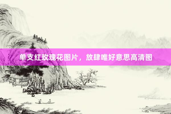 单支红玫瑰花图片，放肆唯好意思高清图